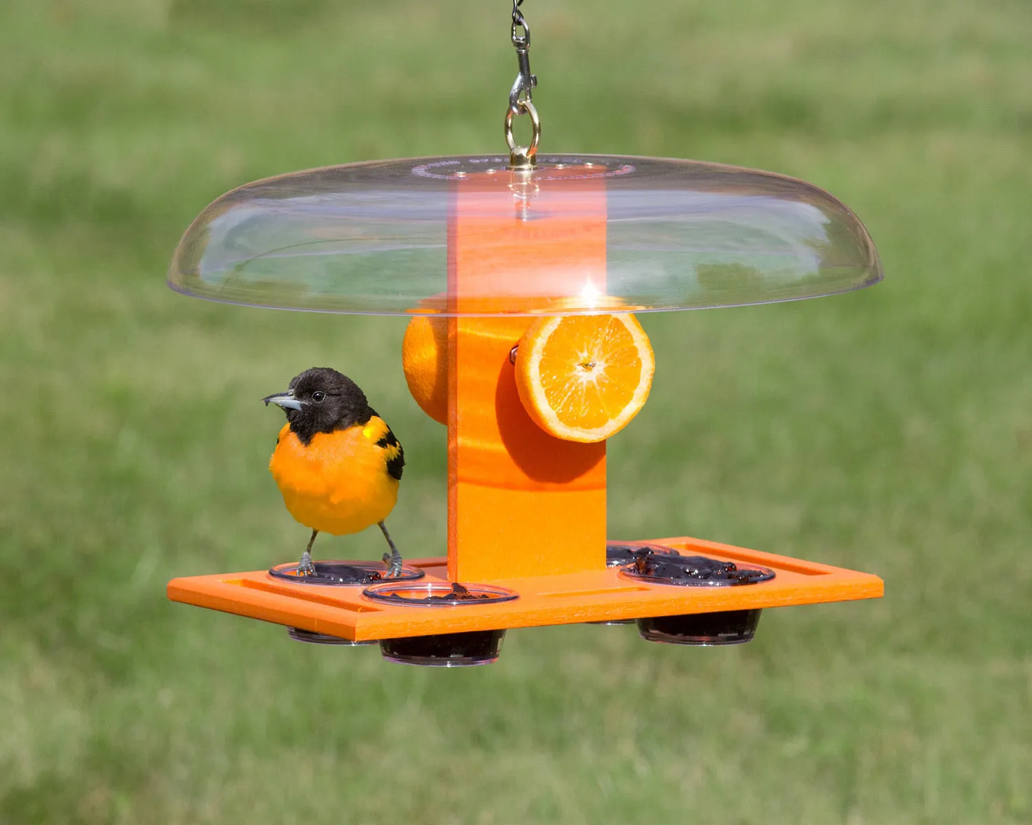 Duncraft Deluxe Oriole Jelly Feeder