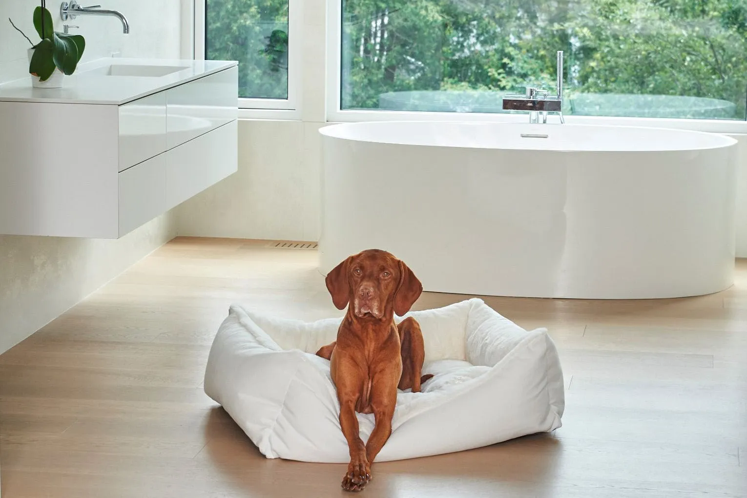 Lounger - Scoop Bed - Winter White